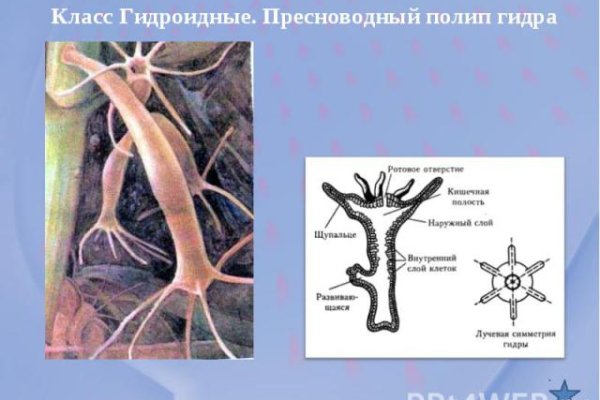 Что такое кракен площадка