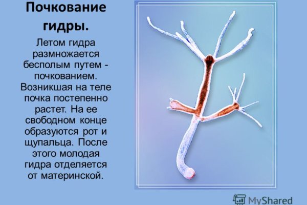 Кракен маркетплейс ссылка